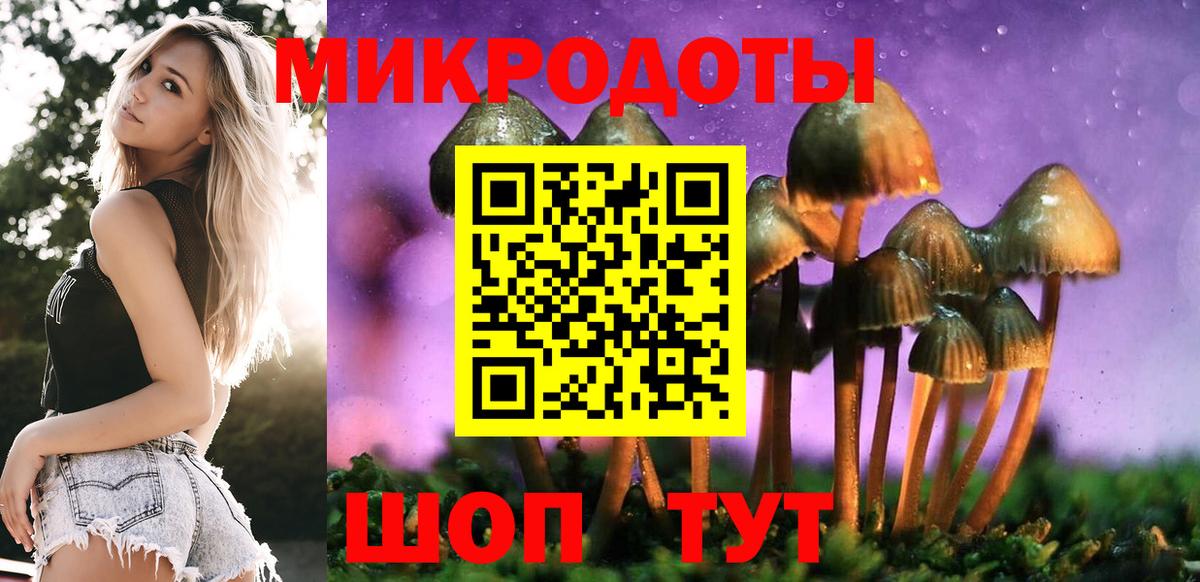 Псилоцибиновые грибы мухоморы  Псилоцибиновые грибы GOLDEN TEACHER  купить  цена  Кострома  Вход с VPN 