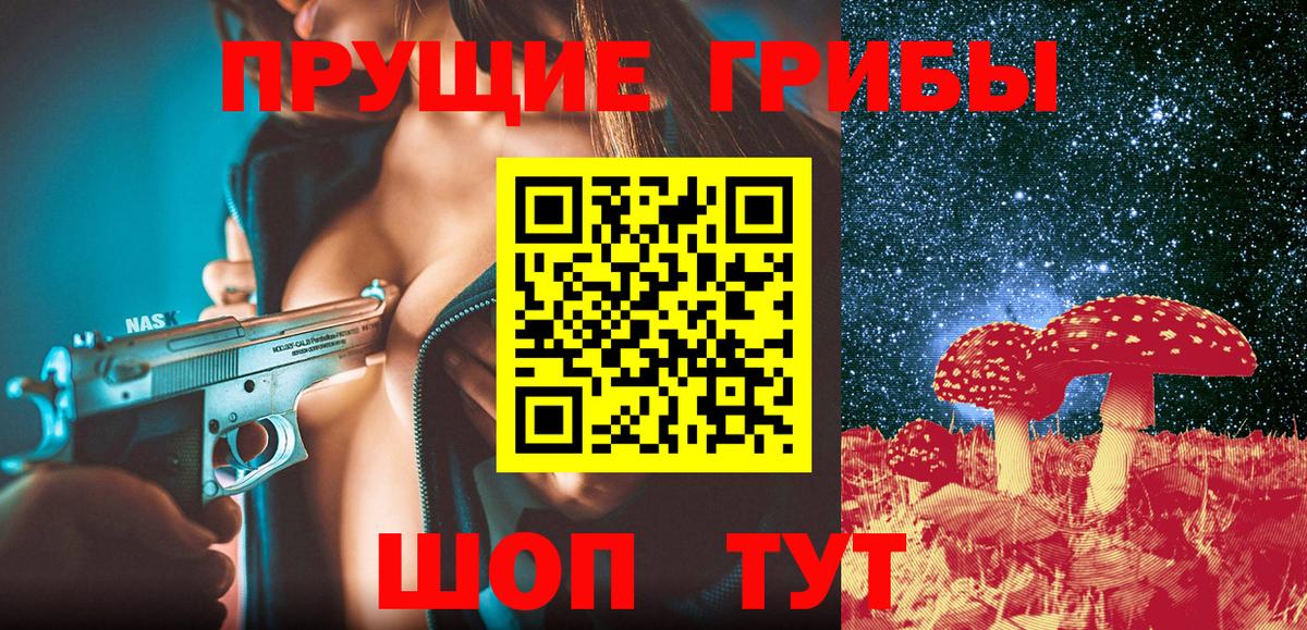 Галлюциногенные грибы Psilocybine cubensis Кострома